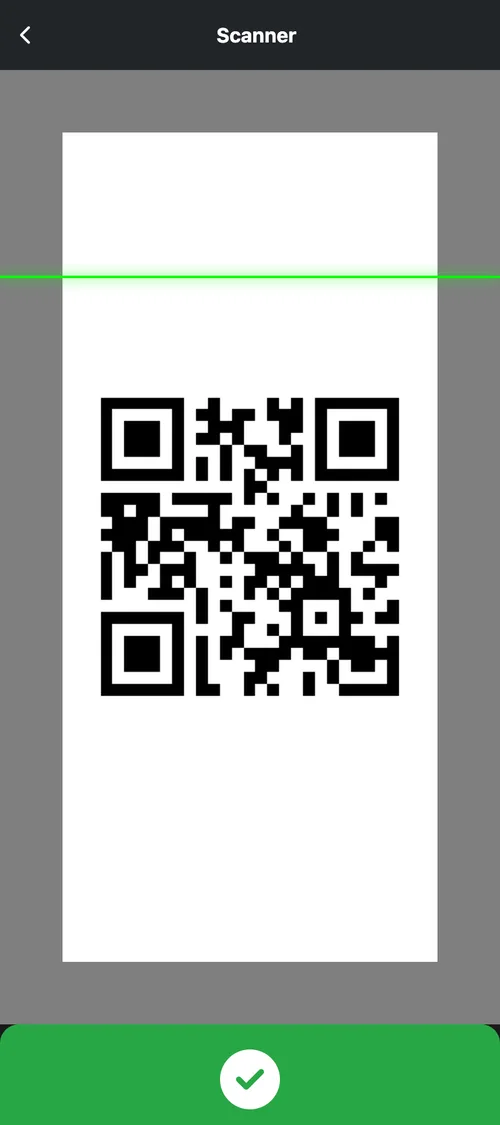 De scanapp toont een geldig ticket na het scannen van een QR-code